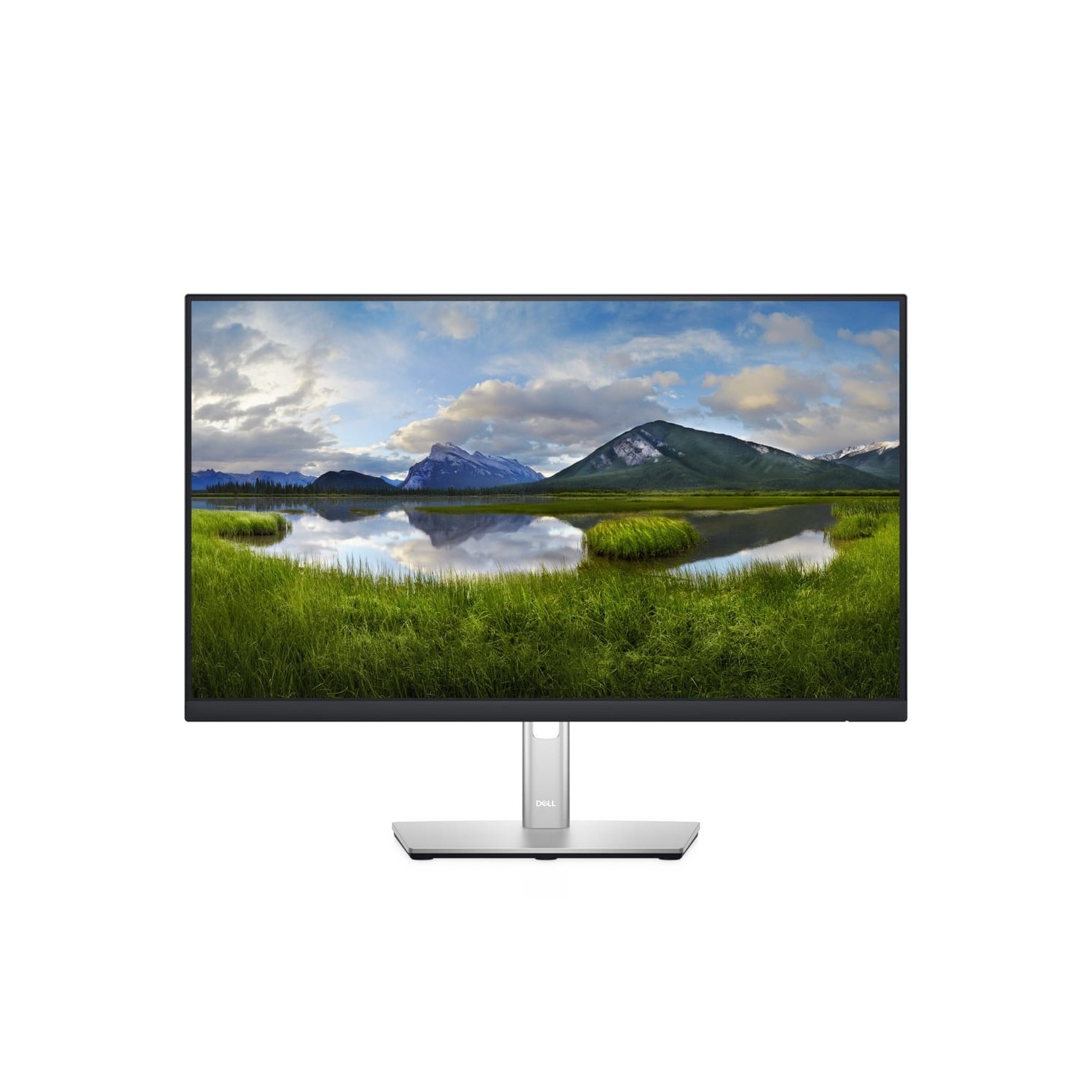 Dell P2422H