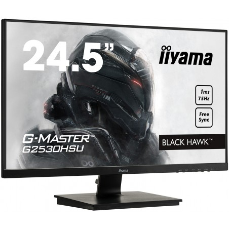 IIYAMA G2530HSU