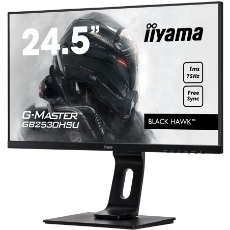 IIYAMA GB2530HSU