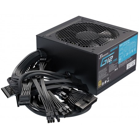 Seasonic A751GCAFH
