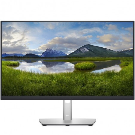 Dell P2422HE